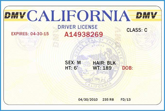 Drivers License Psd Templates Free